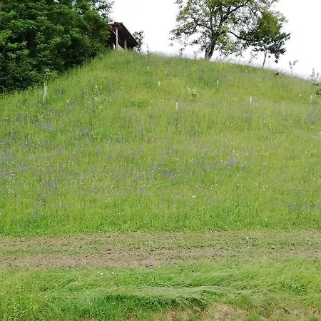 Bioferienhaus Muster - Dominkusch Possnitz