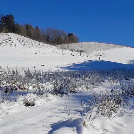 Bioferienhaus Muster - Dominkusch Hébergement de vacances