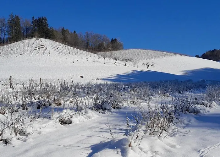 Bioferienhaus Muster - Dominkusch بيت للعطل
